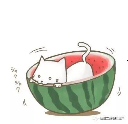 吃瓜娱乐酱头像图片高清,揭秘吃瓜娱乐酱高清头像背后的魅力